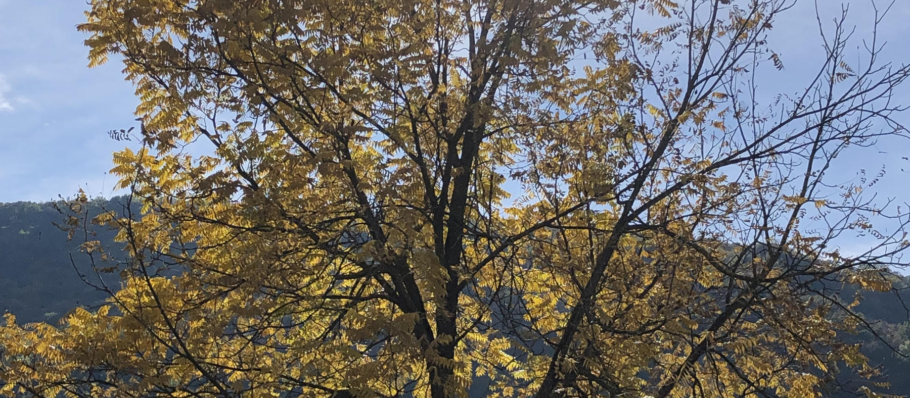 Un noce controluce nelle Valli del Natisone